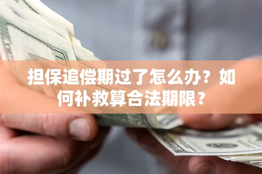 济南担保追偿期过了怎么办？如何补救算合法期限？