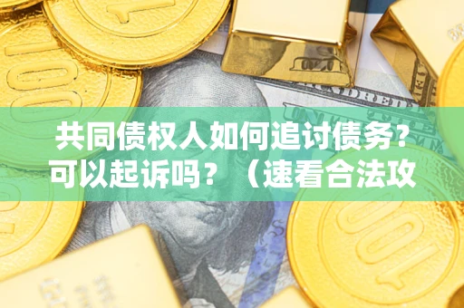 济南共同债权人如何追讨债务？可以起诉吗？（速看合法攻略）
